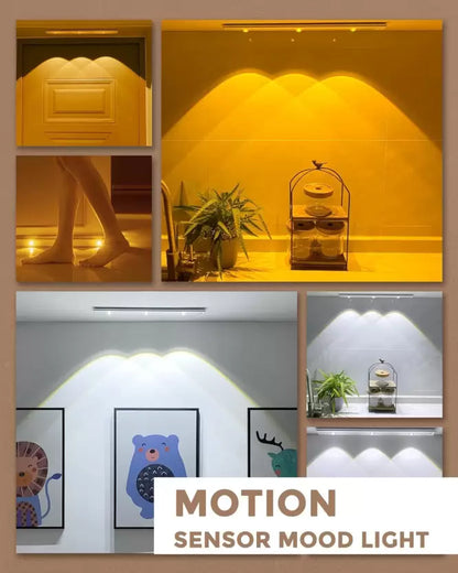 SPENCO Motion Sensor Cabinet Mood Light, 45Cm Wireless Closet Light Ceiling Lamp